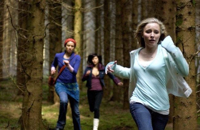 1203285662_shrooms02